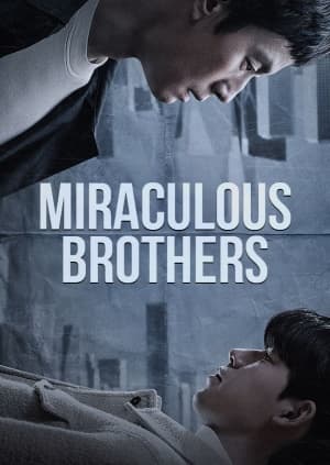 Miraculous Brothers poster